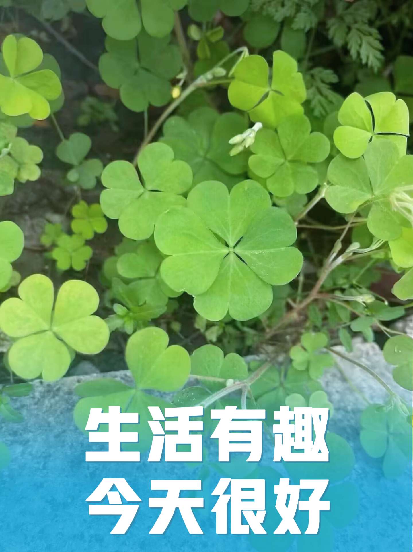 以热爱为伴，以奔赴为生活